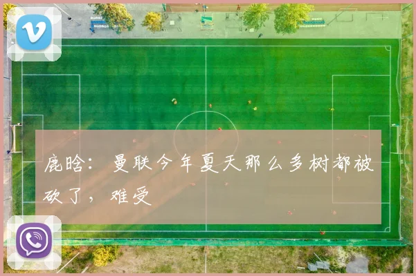 鹿晗：曼联今年夏天那么多树都被砍了，难受